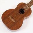 画像1: KAMAKA　コンサートウクレレ HF-2 Kukui (1)