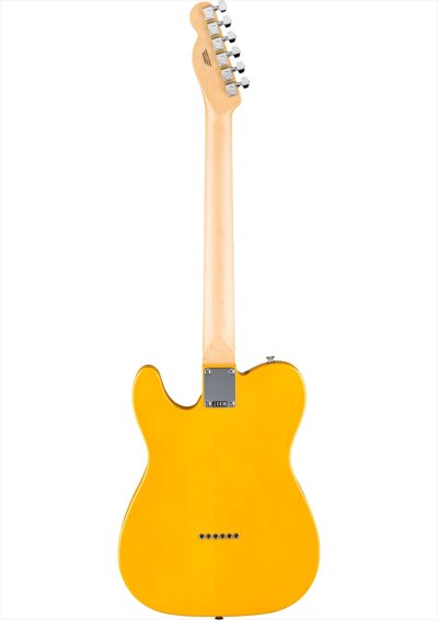 画像2: Fender　Standard Telecaster Butterscotch Blonde