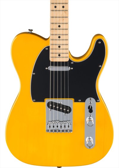 画像3: Fender　Standard Telecaster Butterscotch Blonde