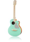 画像1: aNueNue　トラベルサイズ aNN-MC10-IG Ice Green (1)