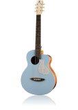 画像1: aNueNue　トラベルサイズ aNN-MC10-BA Blue Arona (1)