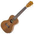 画像1: Aria　ACU-1KE -Concert, Electric- (1)