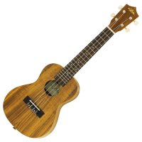 Aria　ACU-1K -Concert-