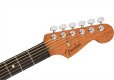 画像5: Fender　American Acoustasonic Stratocaster Black