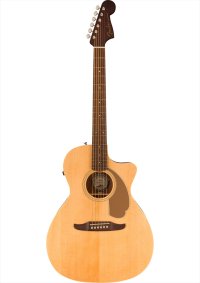 Fender　Newporter Player Natural