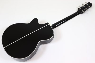 画像5: Takamine　FPT161C BL