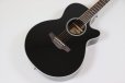 画像3: Takamine　FPT161C BL