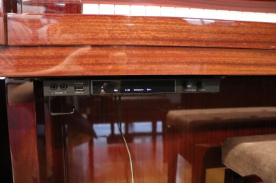 画像3: 【送料別・代引不可】YAMAHA　W102BS RSC2-3 (中古)