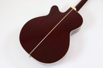 画像6: Takamine　DMP551C WR