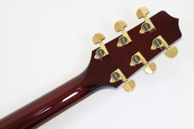 画像7: Takamine　DMP551C WR