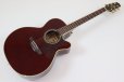 画像2: Takamine　DMP551C WR (2)