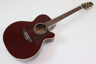 画像2: Takamine　DMP551C WR