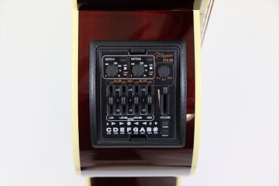 画像9: Takamine　DMP551C WR