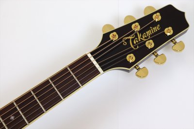 画像4: Takamine　DMP551C WR