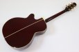 画像5: Takamine　DMP551C WR
