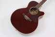 画像3: Takamine　DMP551C WR