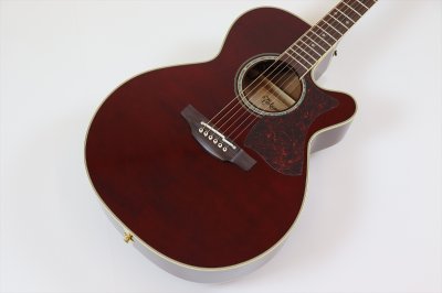 画像3: Takamine　DMP551C WR