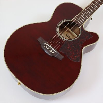 画像1: Takamine　DMP551C WR