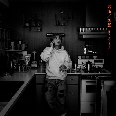 画像1: SEKAI NO OWARI / 琥珀／図鑑