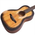 画像4: Bromo Guitars　ROCKY SERIES BAR6H hs