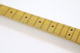 画像9: Fender　American Professional Classic Stratocaster HSS Faded Lake Placid Blue