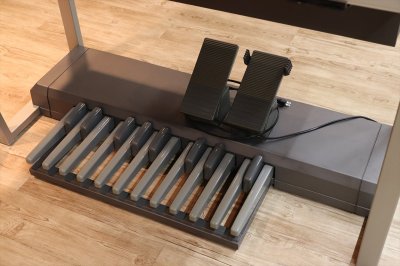 画像3: 【中古】【送料別・代引不可】YAMAHA　ELS-01C バイタライズ（ELS-02Cと同等の機能）