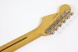 画像7: Fender　American Professional Classic Stratocaster 3-Color Sunburst