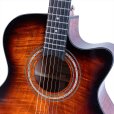 画像3: Washburn Guitars　WCG12FCE (3)