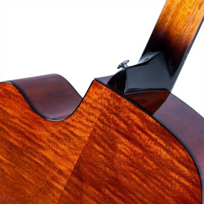 画像5: Washburn Guitars　WCG10CE