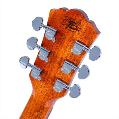 画像10: Washburn Guitars　WCG12FCE