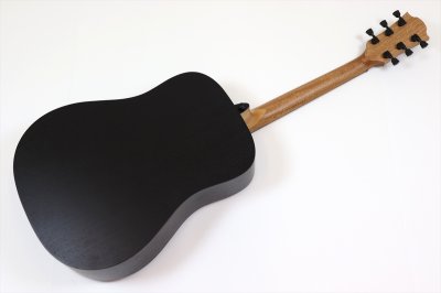 画像5: LAG Guitars　Tramontane T70D BRB