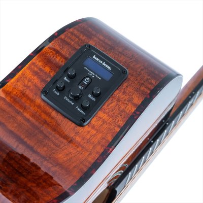 画像8: Washburn Guitars　WCG12FCE