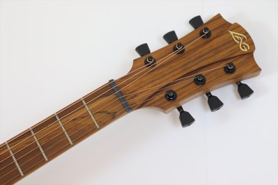 画像4: LAG Guitars　Tramontane T70D BRB