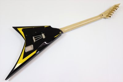 画像5: edwards　E-ALEXI ARROW HEAD