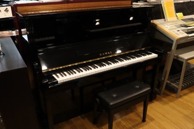画像1: 【送料別・代引不可】KAWAI　BL-31(中古)
