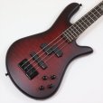 画像1: Spector　NS Pulse 4 II Black Cherry Matte 【新品アウトレット】 (1)