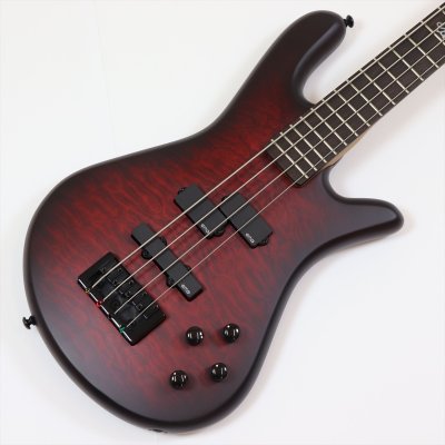 画像1: Spector　NS Pulse 4 II Black Cherry Matte 【新品アウトレット】