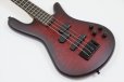 画像8: Spector　NS Pulse 4 II Black Cherry Matte 【新品アウトレット】 (8)