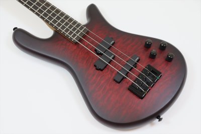 画像8: Spector　NS Pulse 4 II Black Cherry Matte 【新品アウトレット】