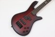 画像3: Spector　NS Pulse 4 II Black Cherry Matte 【新品アウトレット】 (3)