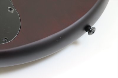 画像10: Spector　NS Pulse 4 II Black Cherry Matte 【新品アウトレット】