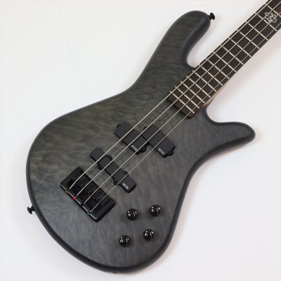 画像1: Spector　NS Pulse 4 II Black Stain Matte 【新品アウトレット】