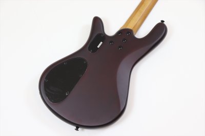 画像6: Spector　NS Pulse 4 II Black Cherry Matte 【新品アウトレット】