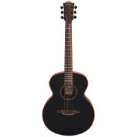 Bromo Guitars　BAT8ME BK