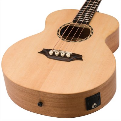 画像5: Bromo Guitars　BAT8E BASS