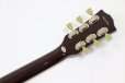 画像7: FERNANDES (Burny)　LSD-80N STP 【新品：メーカー保証なし】 (7)