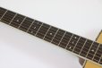 画像10: Fender　Paramount PO-220E Orchestra Natural 【アウトレット特価】 (10)