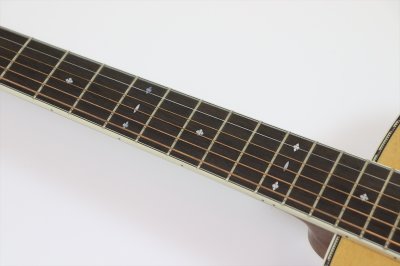 画像10: Fender　Paramount PO-220E Orchestra Natural 【アウトレット特価】