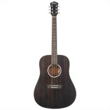 Washburn Guitars　EBONY D