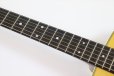 画像9: Martin　Standard Series D-28 (2025) (9)